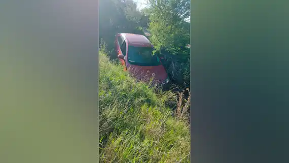 Aurovía 12 : perdió el control y terminó sobre el cantero central