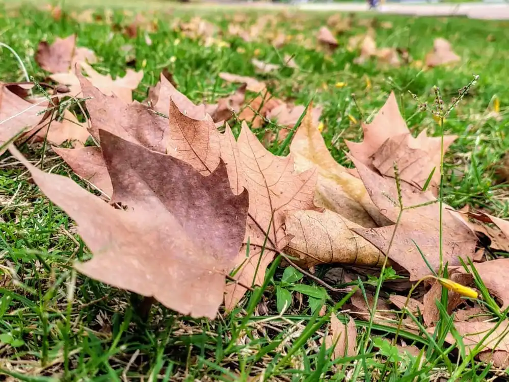 Llega el frío a Entre Ríos: anticipan jornadas de hasta tres grados