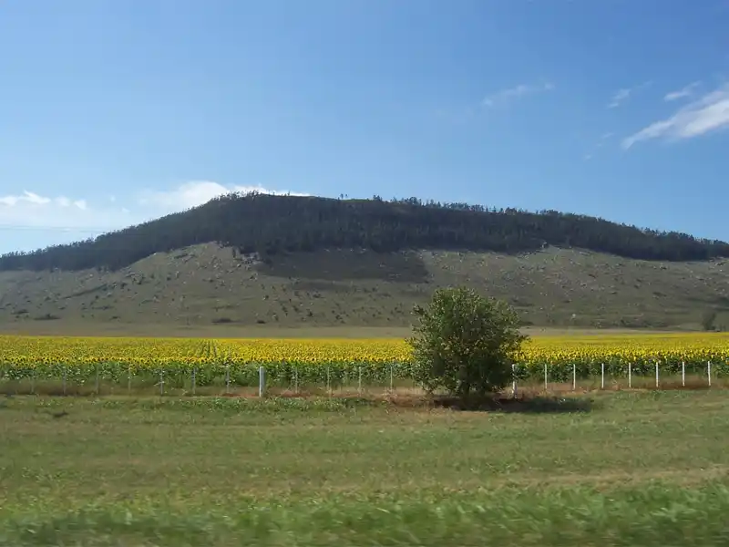 Sigue la caída del mercado inmobiliario rural y se registran escasas operaciones