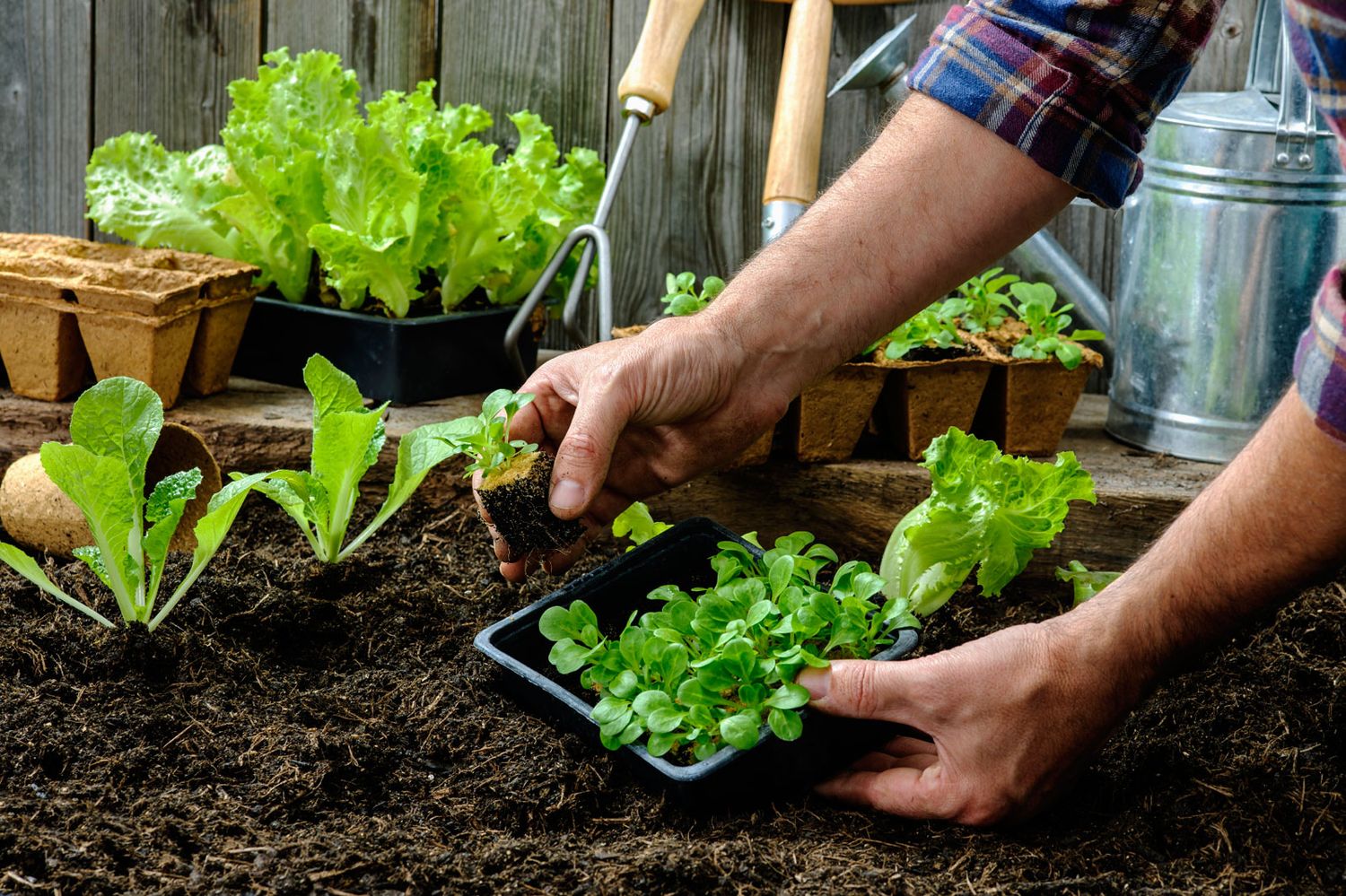 Manos a la tierra: buscan que las quintas produzcan desde una filosofía ecológica