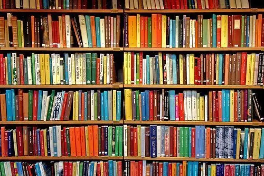 La Biblioteca Barrial Solidaria de la Vecinal 9  de Julio se suma a la Maratón de Lectura  2023.