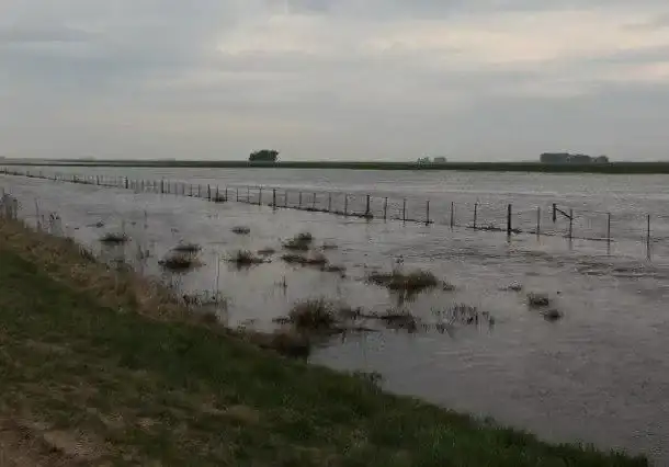 campo el niño