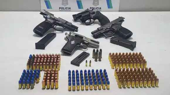 Conflicto vecinal terminó en allanamiento: secuestraron un arsenal de armas en la casa de una mujer de 75 años