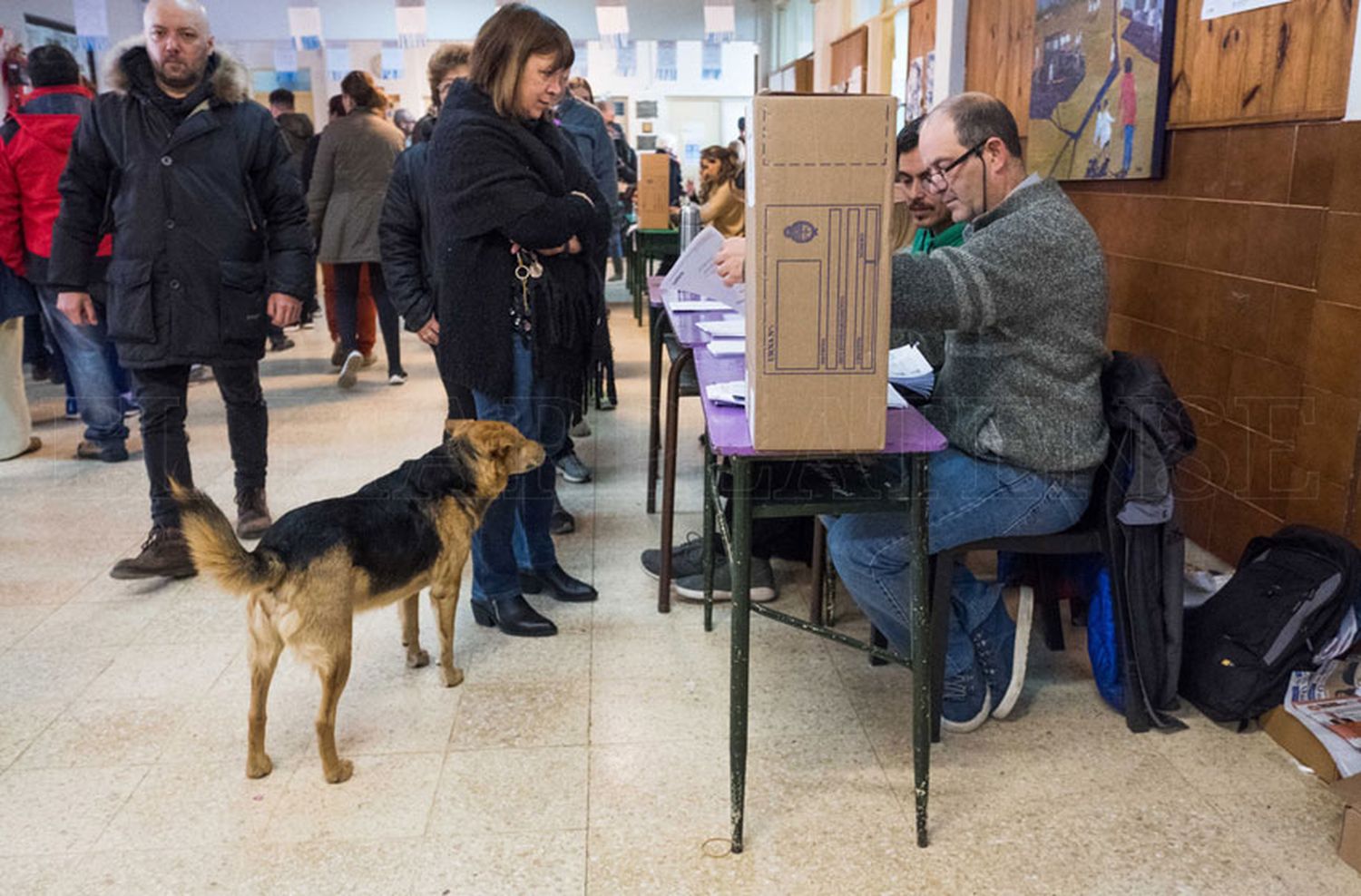 De cuánto es la multa por no votar en las elecciones presidenciales