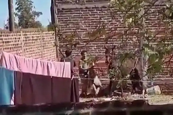 �SBajo ningún concepto se justifica la crueldad animal⬝, dijo el Fiscal Amaya