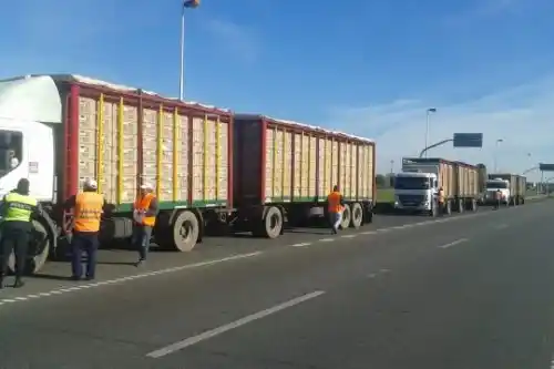 Senasa detectó irregularidades en la carga de transportes en rutas bonaerenses