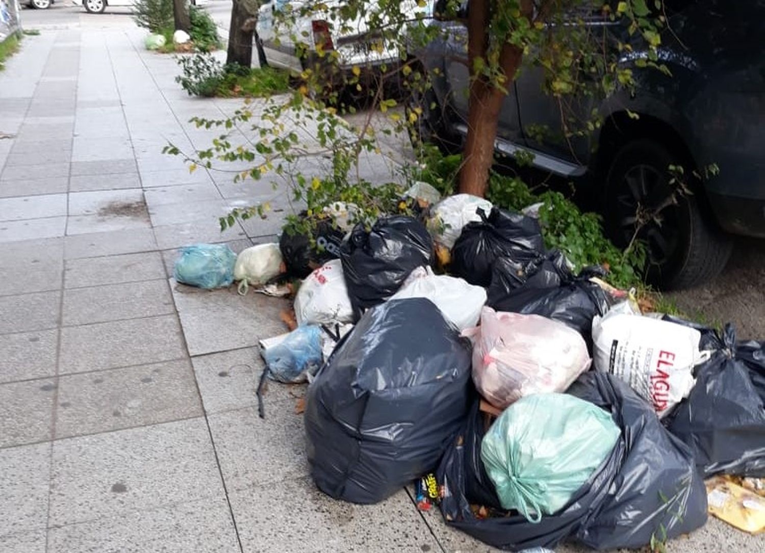 La basura y el verano: "La ciudad realmente presenta una situación de falta de higiene que no es la que quisiéramos"