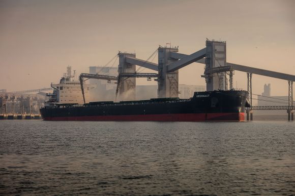Cebada argentina: un mercado en expansión