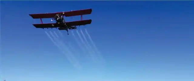 La provincia profundizó las tareas de control contra la langosta
