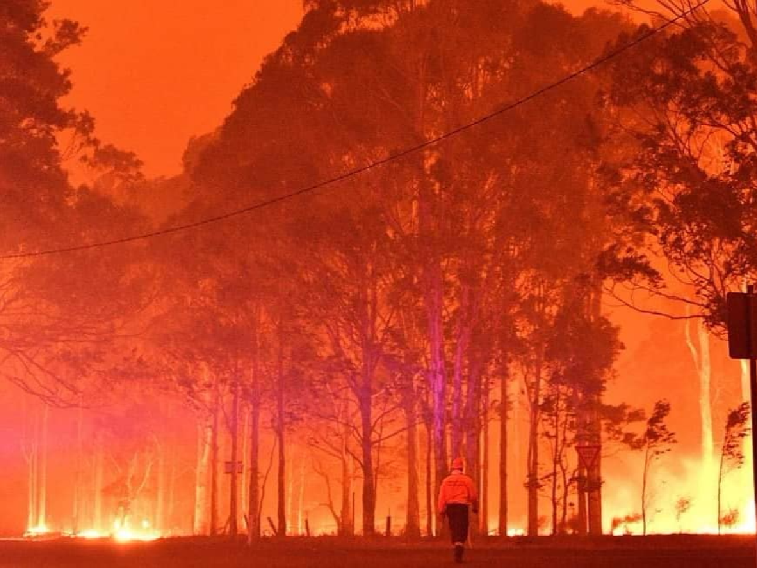 Sanfrancisqueños en Australia sufren las consecuencias de los incendios