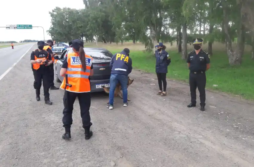 Azul: la Policía Federal realizó operativos de prevención en la ruta