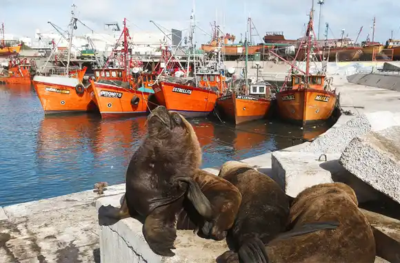 Domingo con 24 grados para despedir un fin de semana primaveral
