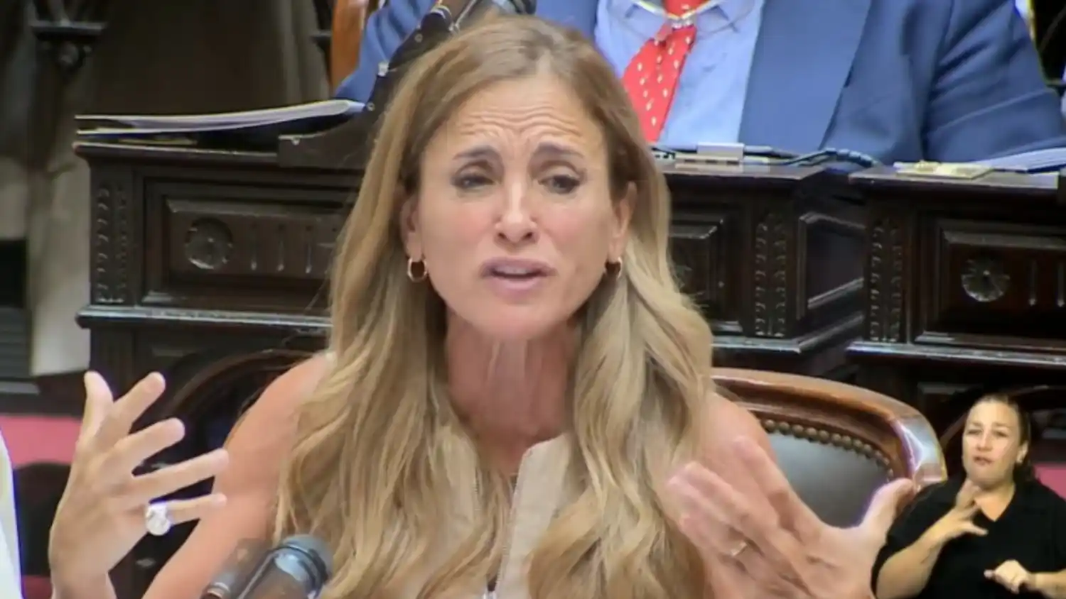 Foto: captura Diputados TV