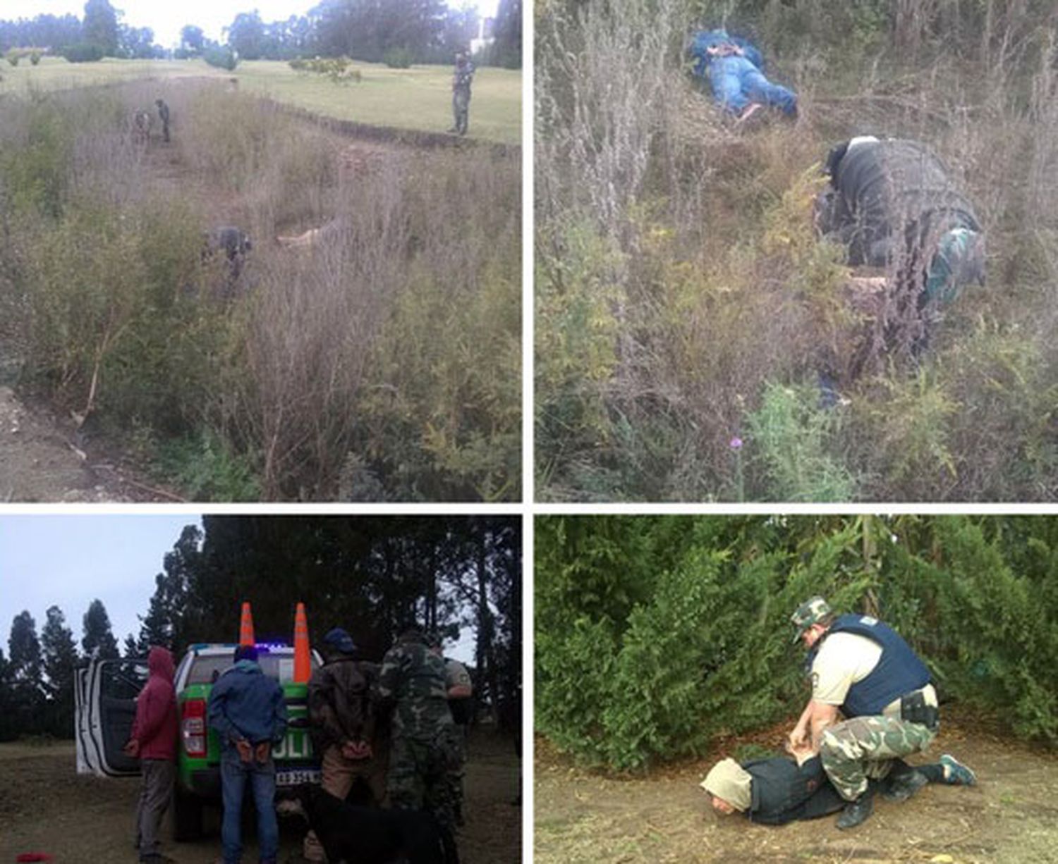 Tenían pedidos de captura y trataban  de robar en un campo