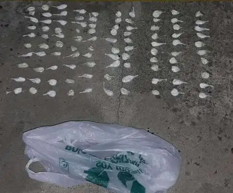 Secuestraron más de cien bochas de cocaína en General Galarza