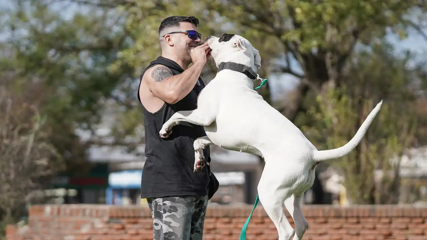 Leo Suliman. Su experiencia como adiestrador