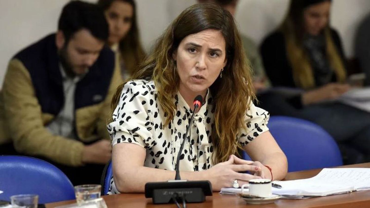 Jimena López, del Frente Renovador