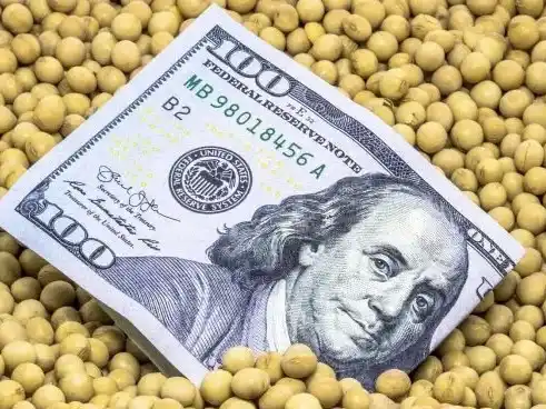 Estiman que las exportaciones de soja marcarán un récord, ante fuerte demanda china