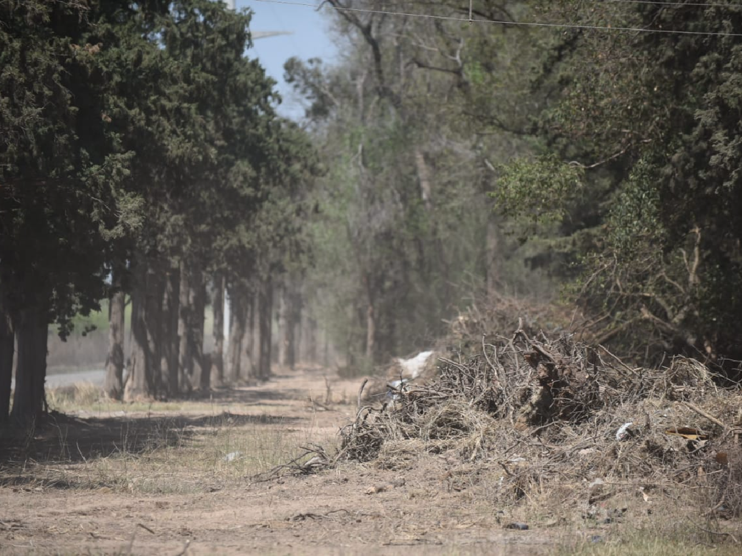  Juntan firmas para preservar el Circuito del Bosque ante el avance de loteo del Parque Industrial