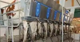Aprobaron compensaciones para tamberos por más de $3,5 millones