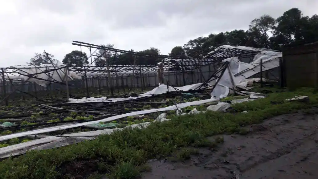 Frutihorticolas: “La emergencia ya pasó, el invierno no se pudo recuperar”