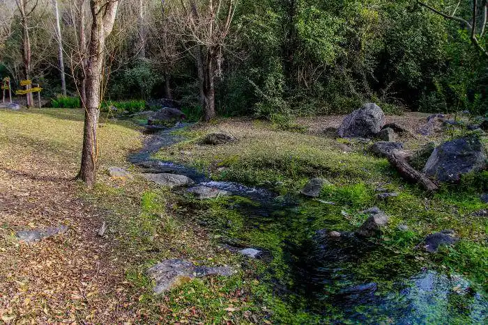Ecología y naturaleza  en La Rancherita,  con paisajes imperdibles