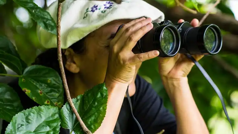 Mientras gestionas un REPRO estos sueldos se pagan en la Justicia, Legislatura, y entes descentralizados entrerrianos