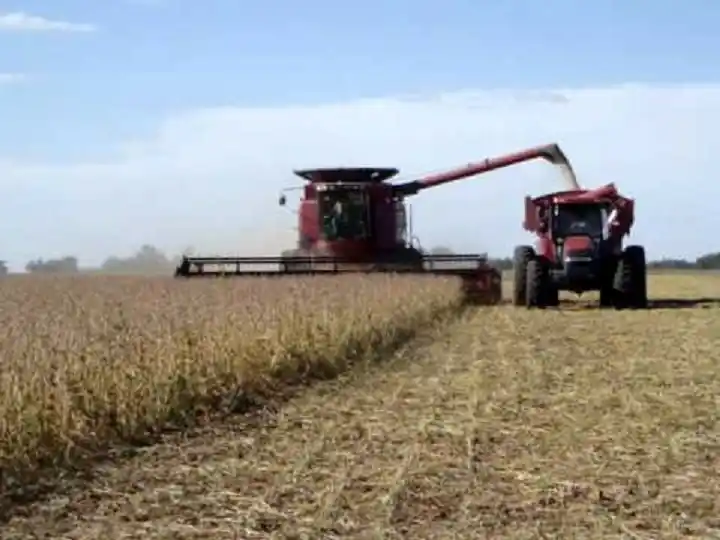 Diputados tratan en comisión la prohibición de fumigar cereales y oleaginosas durante la carga y transporte