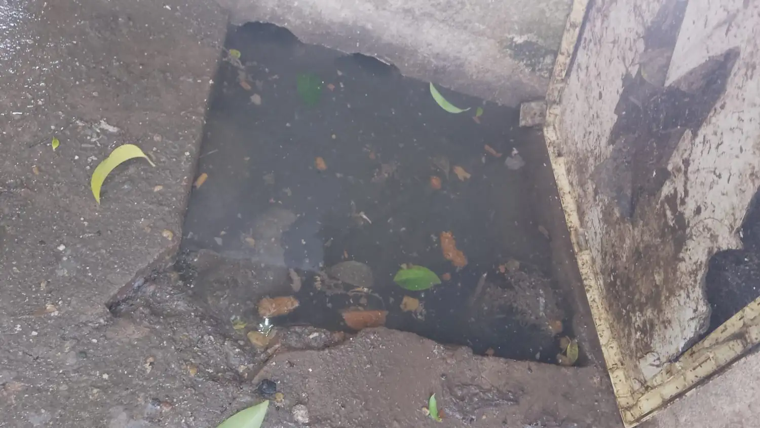 Cloaca Humanes 1600