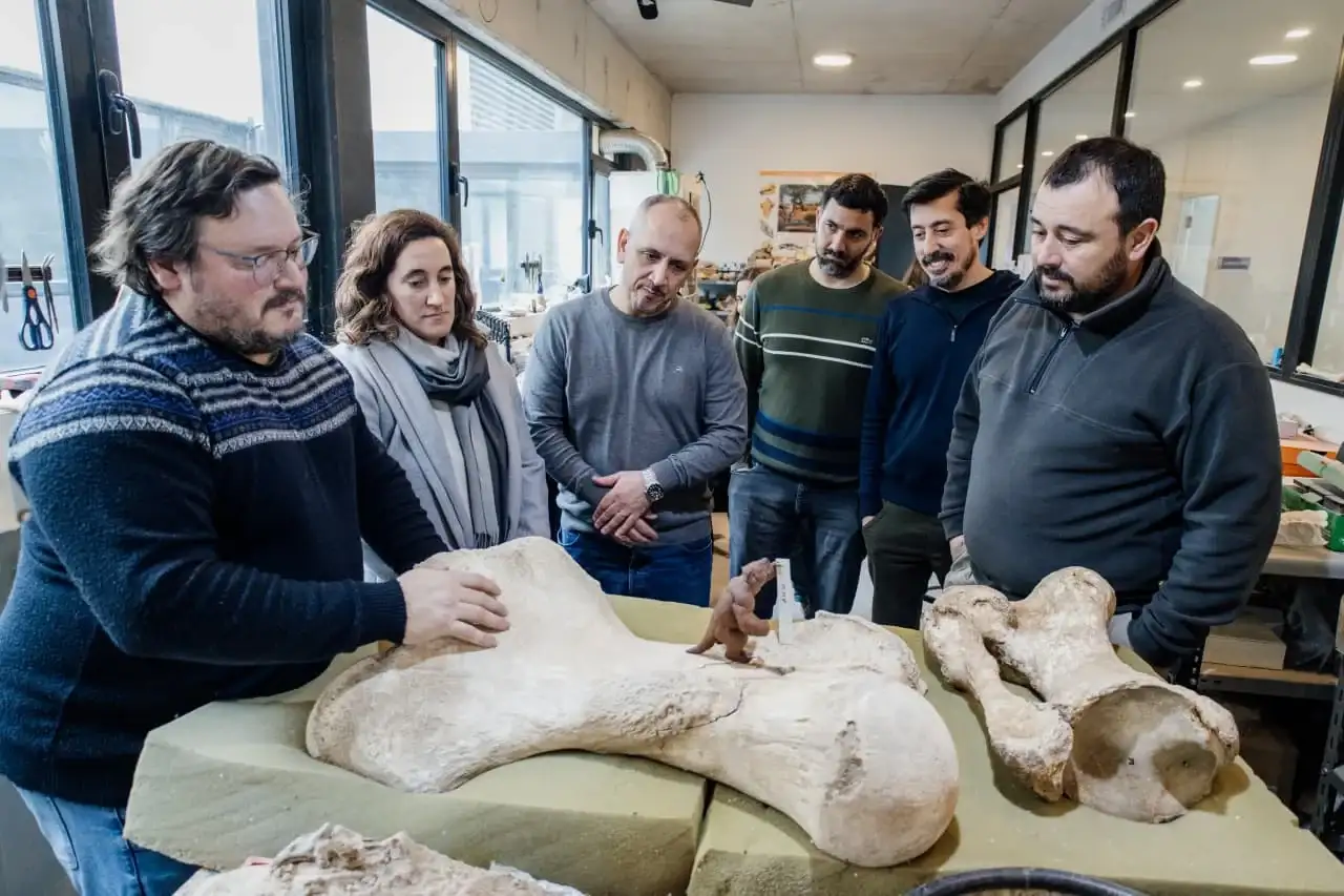 Entre los restos recuperados se encuentra un fémur de megaterio.