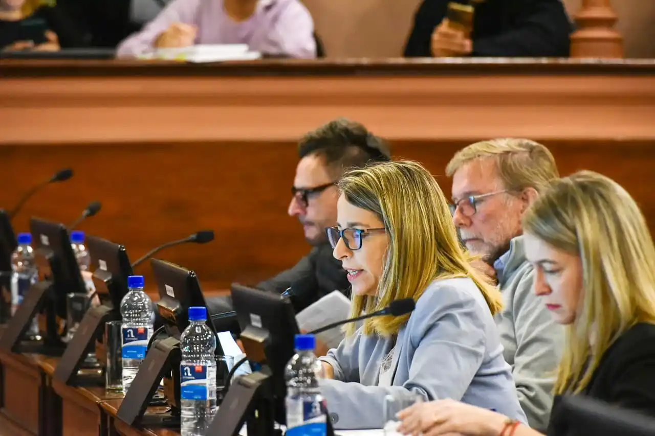 El justicialismo acompañó la ley de emergencia alimentaria