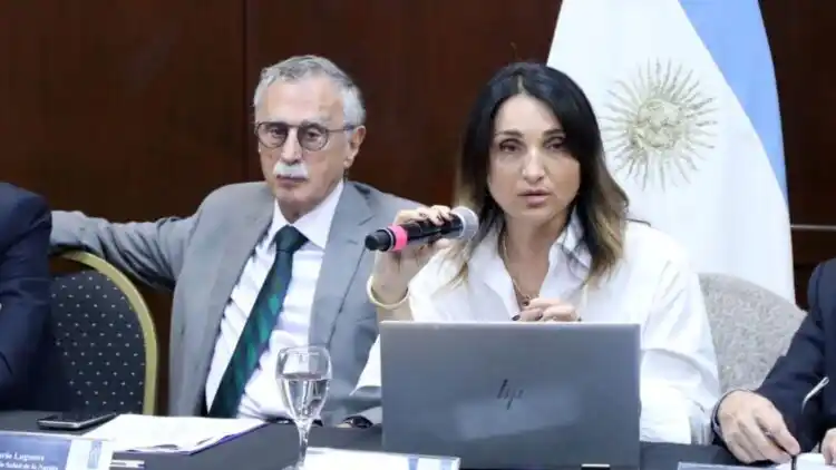 Cecilia Loccisano, afuera del Gobierno de Milei.