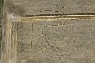 Campos de Avellaneda: misteriosas figuras aparecieron en un trigal y los productores están desconcertados