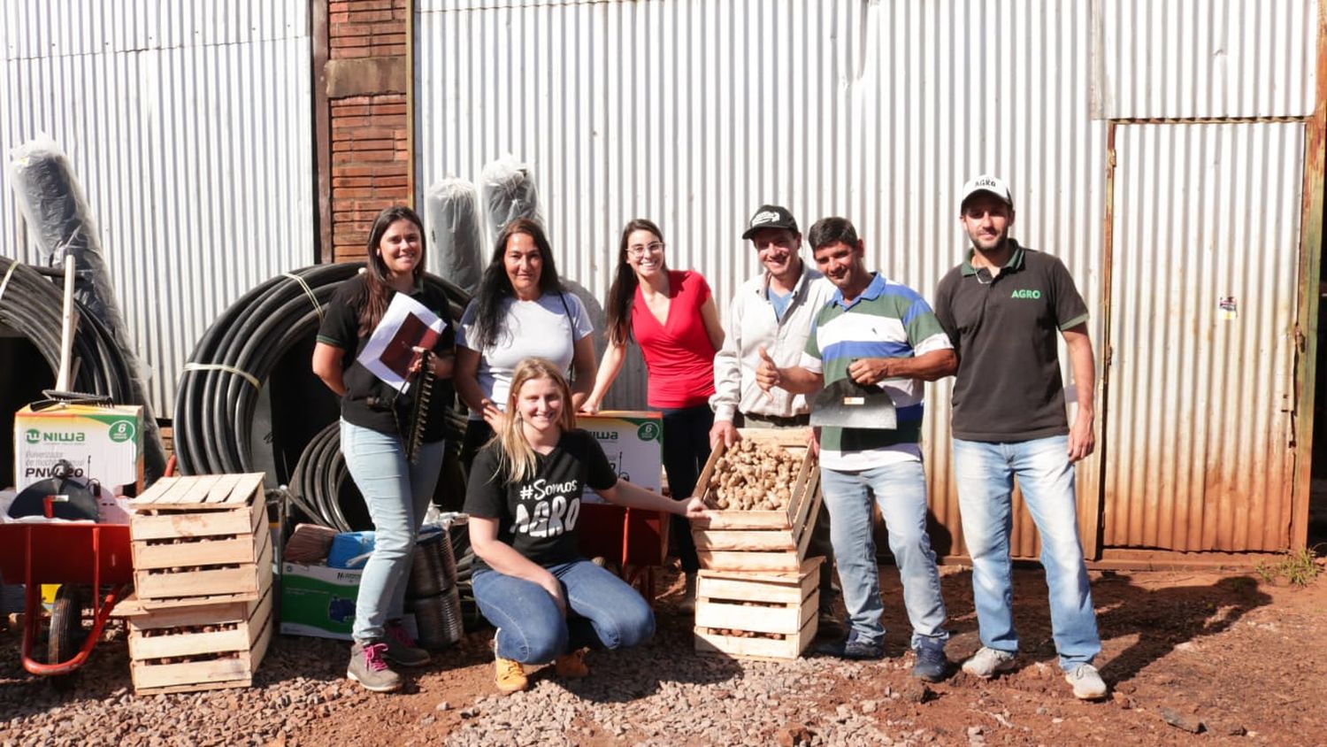 Familias tabacaleras cultivan jengibre