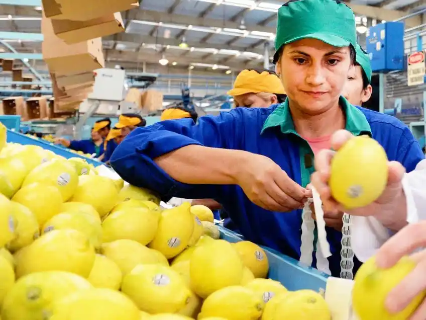 Productores de verduras y frutas salen a vender a bajos precios eliminando intermediarios