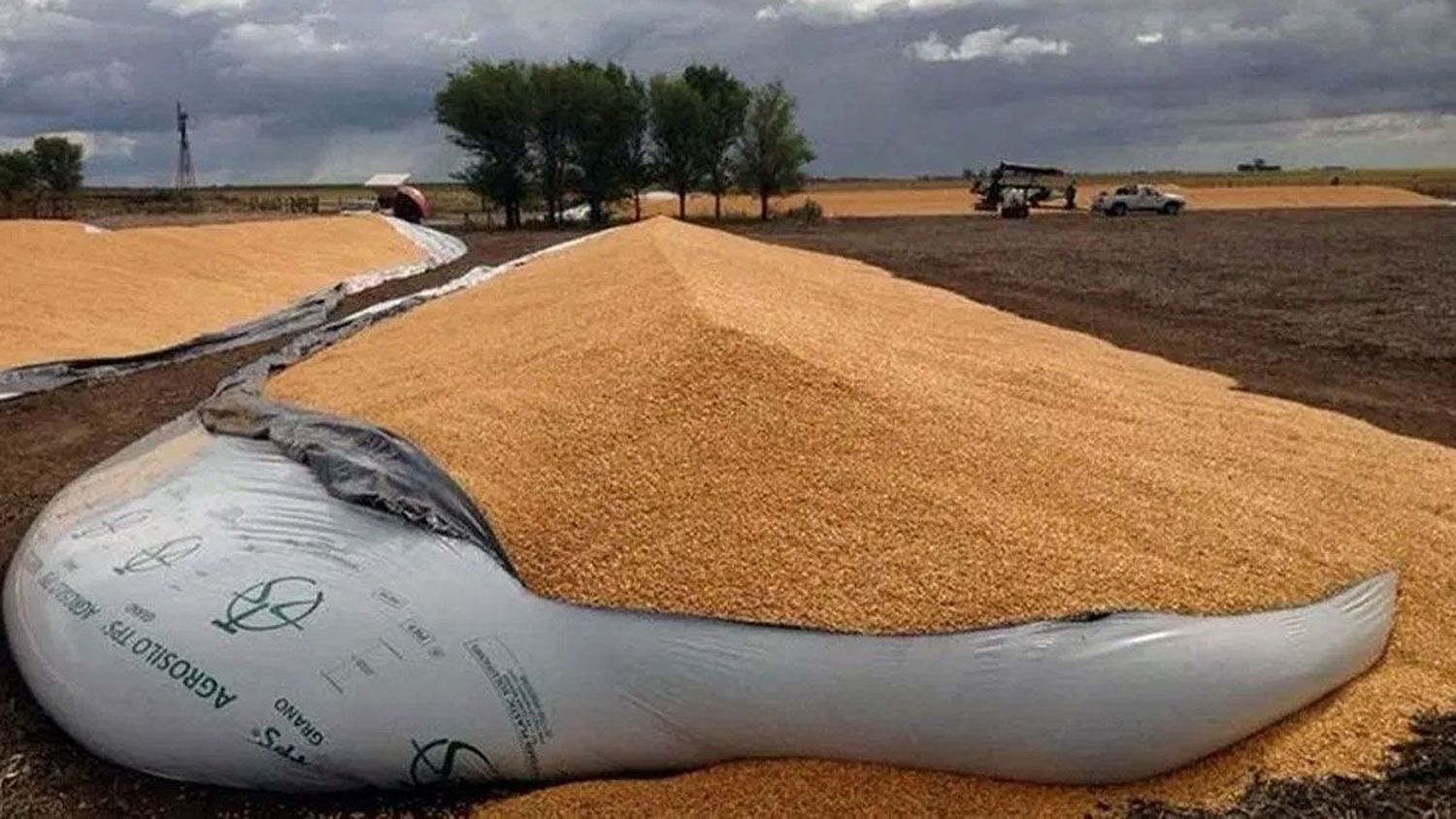 " Ley que castiga el vandalismo rural es necesaria para proteger al productor"