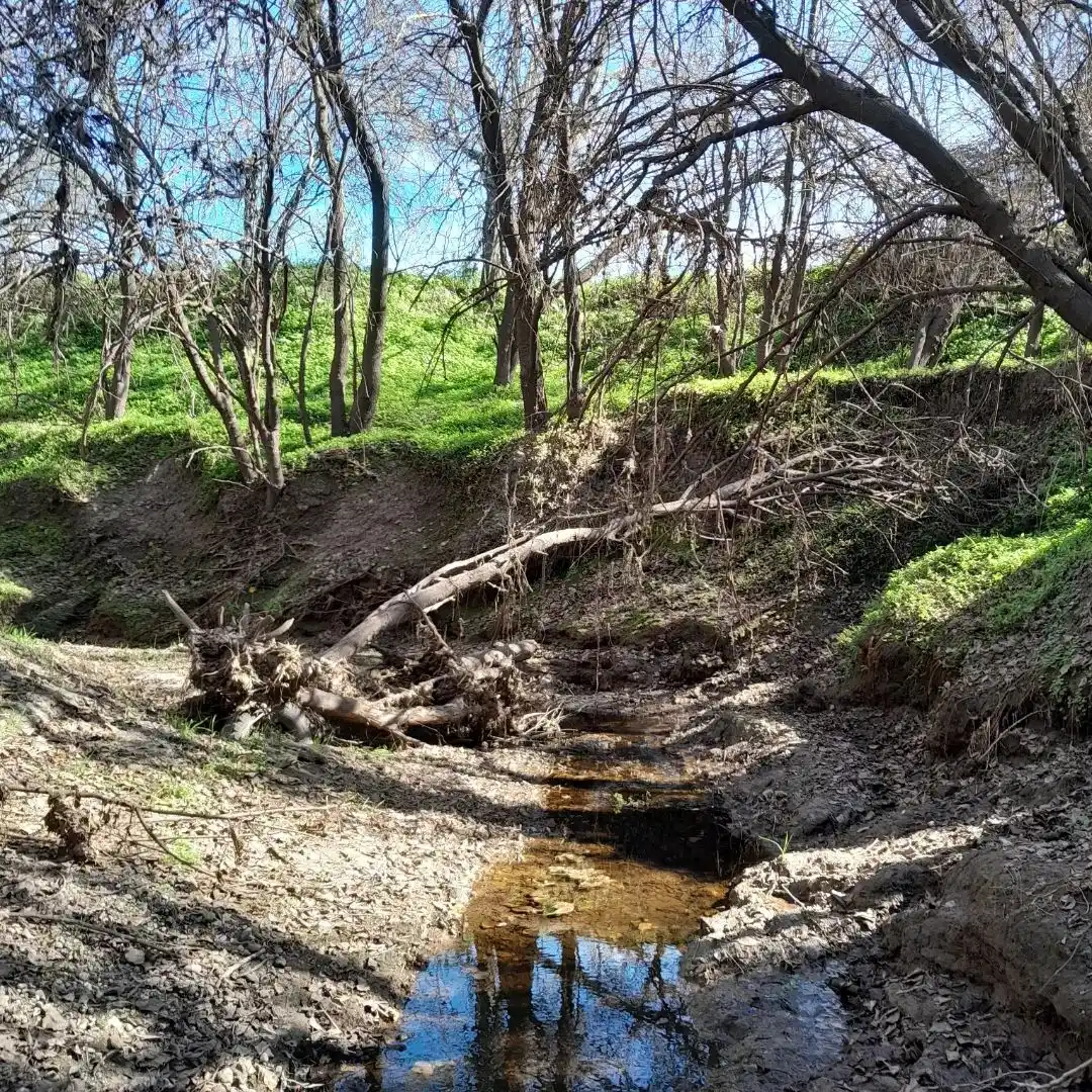 Descubrí la belleza natural de la Comuna de Merou-Eigenfeld a través del deporte