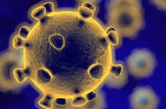 “El coronavirus siempre nos gambetea, es el Messi de los microorganismos”