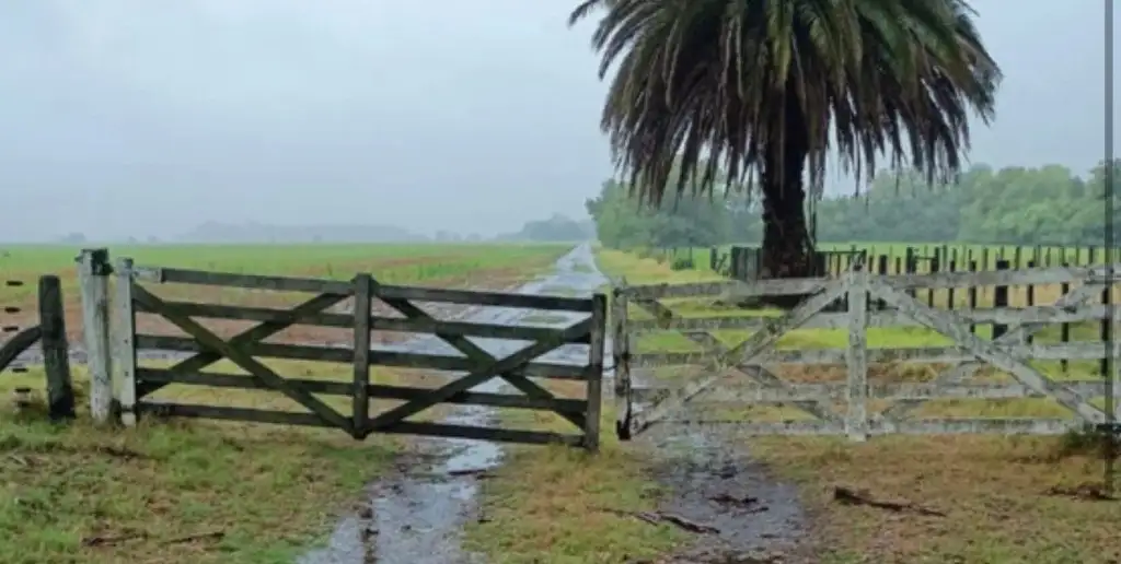 Campo tranquera lluvias caidas