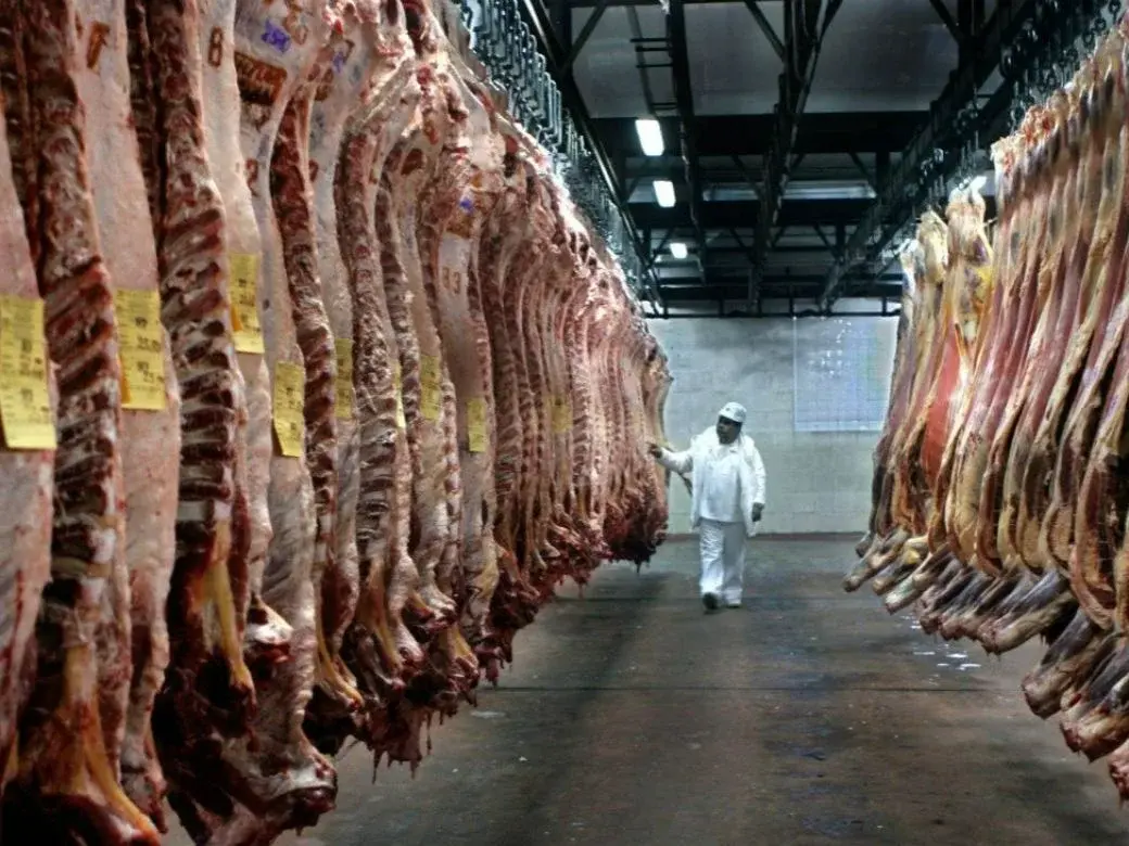 Argentina aumentaría su producción de carne vacuna en 2027, según el USDA