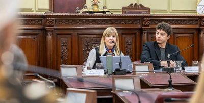 Para Rodenas, la nueva Constitución debe ser un “paraguas de protección para derechos que hoy no están contemplados”