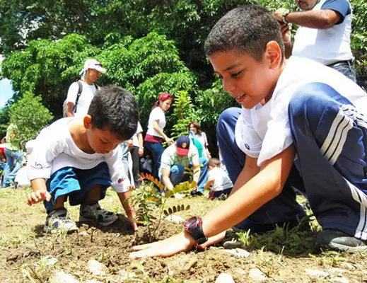 Realizarán una nueva capacitación sobre Educación Ambiental