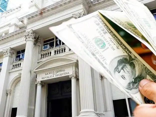 El Banco Central compró dólares por décimo día consecutivo y suma casi USD 700 millones en enero