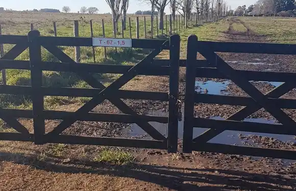 9 de julio: Legisladora propone llevar a toda la Provincia experiencia local de identificación de tranqueras