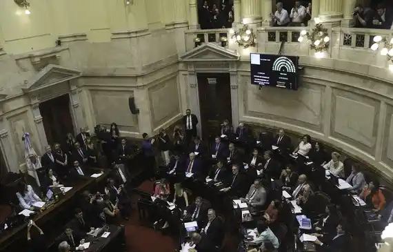El Senado dictaminó el proyecto Ficha Limpia