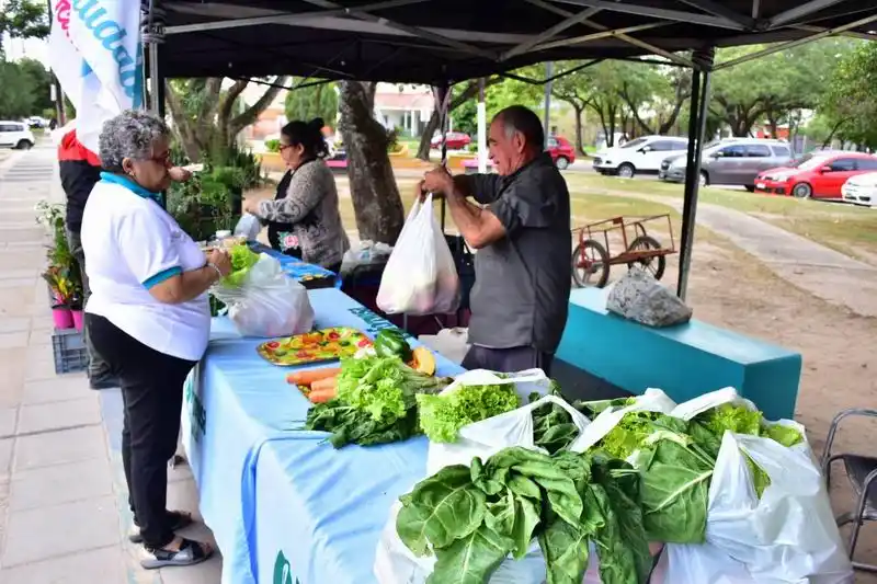 Hoy comienza la venta de bolsones saludables