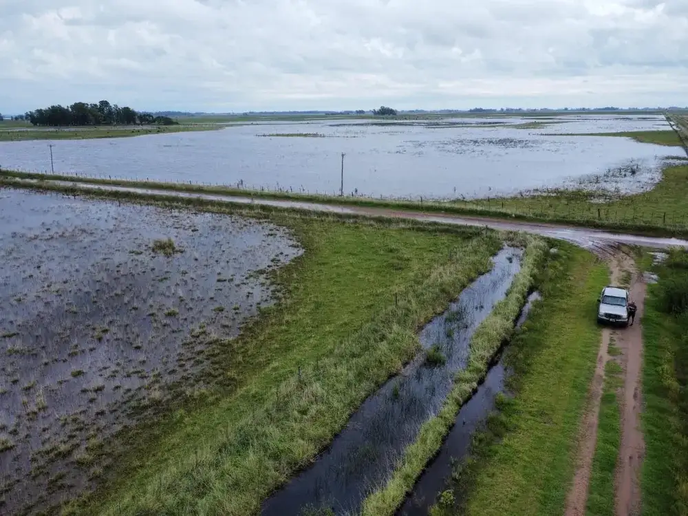 Nación prorroga y amplía la emergencia agropecuaria en distritos bonaerenses, entre ellos, Rauch