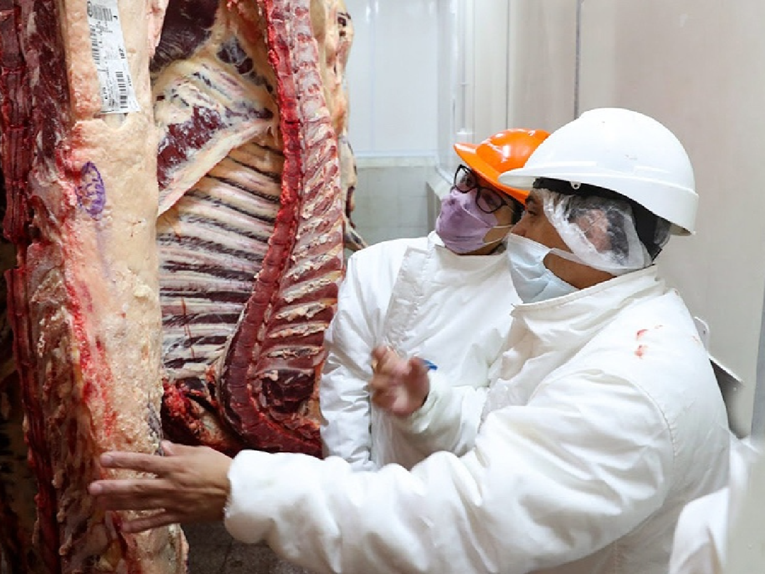 Los precios minoristas de la carne vacuna aumentaron 65% en el último año