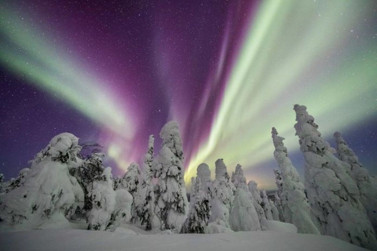 Aurora Boreal
