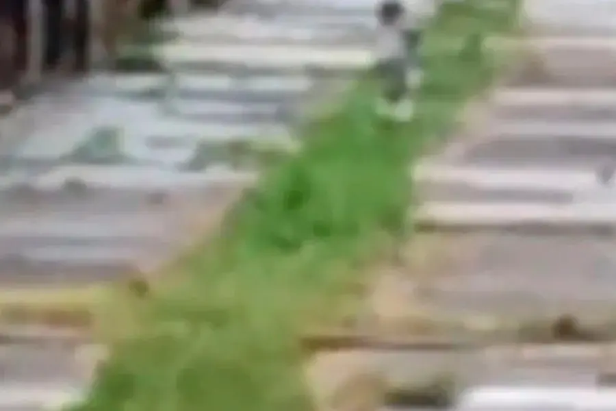 VIDEO | ¡Qué miedo! Un bebé fantasma aparece hace 100 años en un cementerio de Buenos Aires